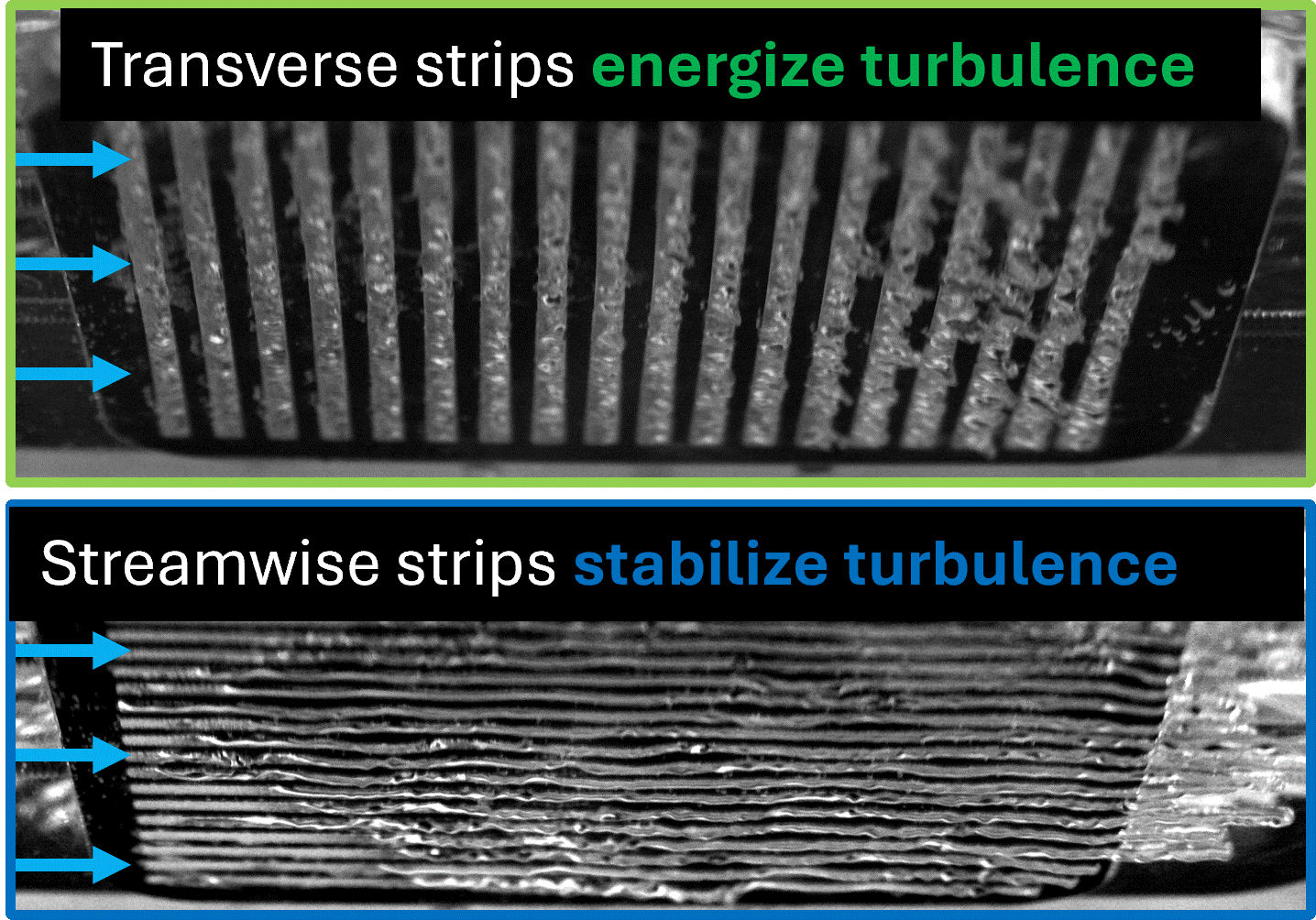 transverse and streamwise strips
